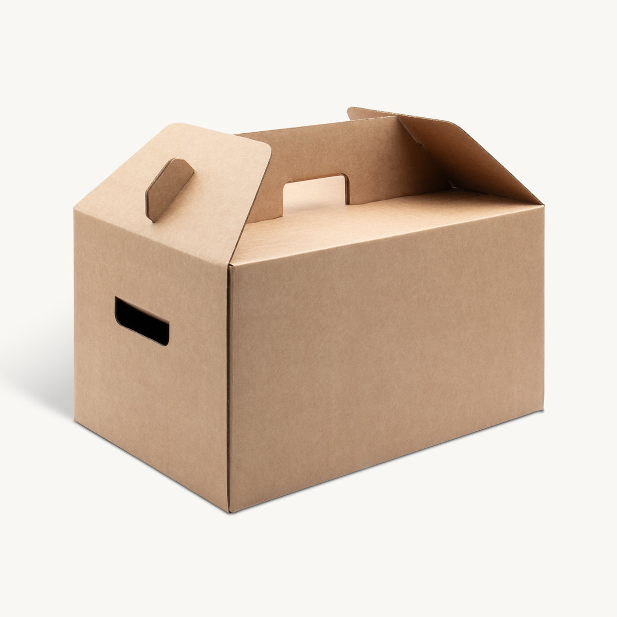 Large Turkey Box 20kg 410mm.