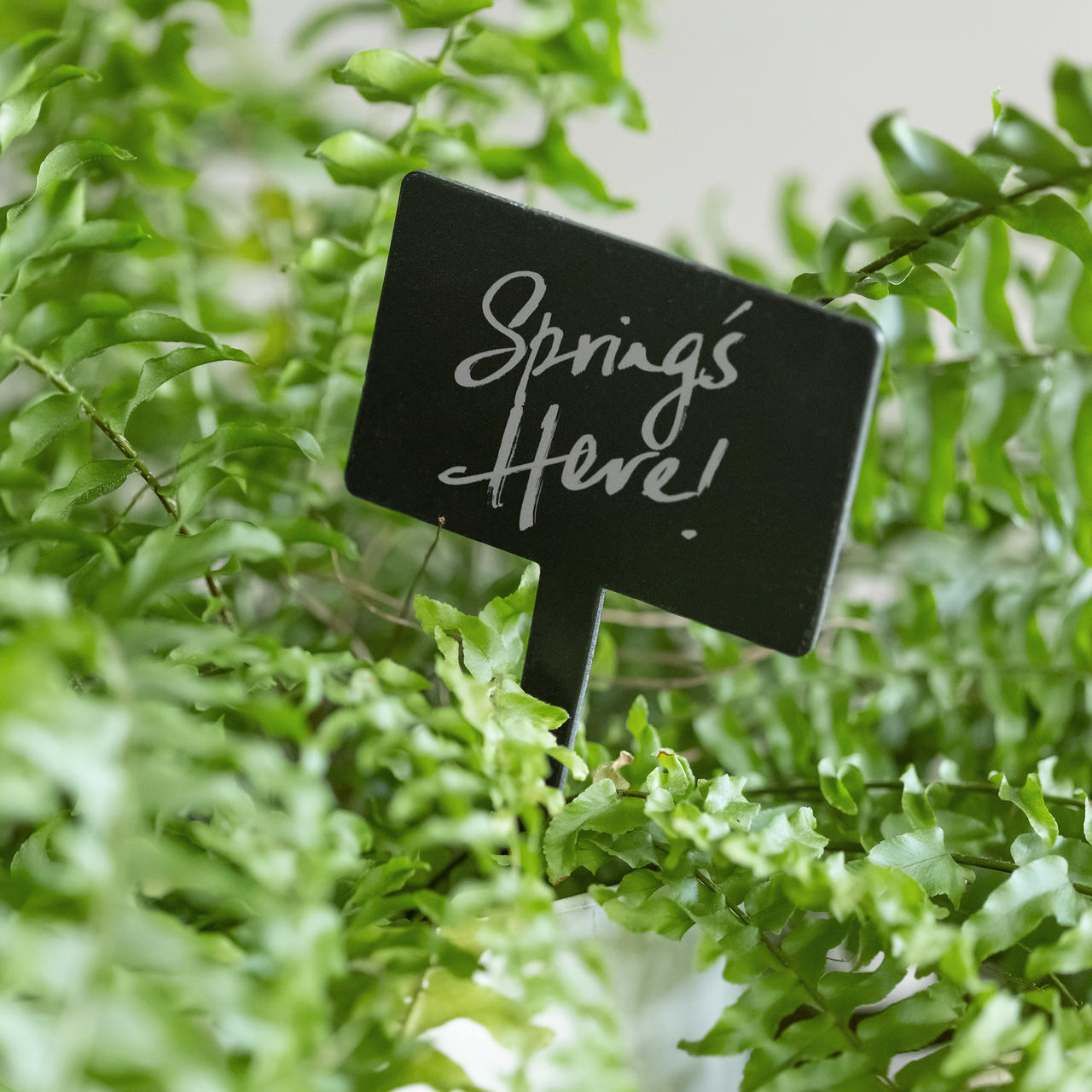 Rectangle chalkboard tags with spike with a clean surface for visible retail messaging.