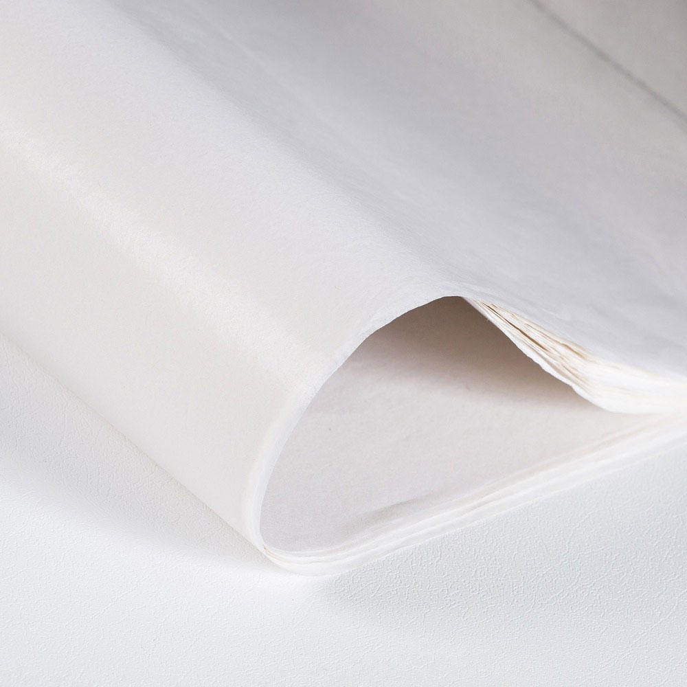 Recycled tissue paper (480 sheets)