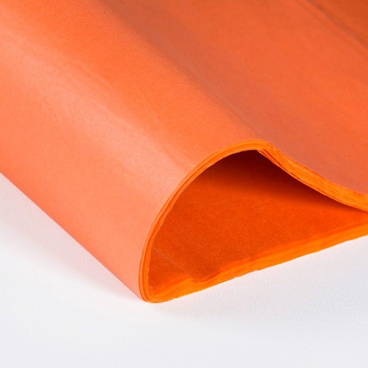 Recycled tissue paper (480 sheets)