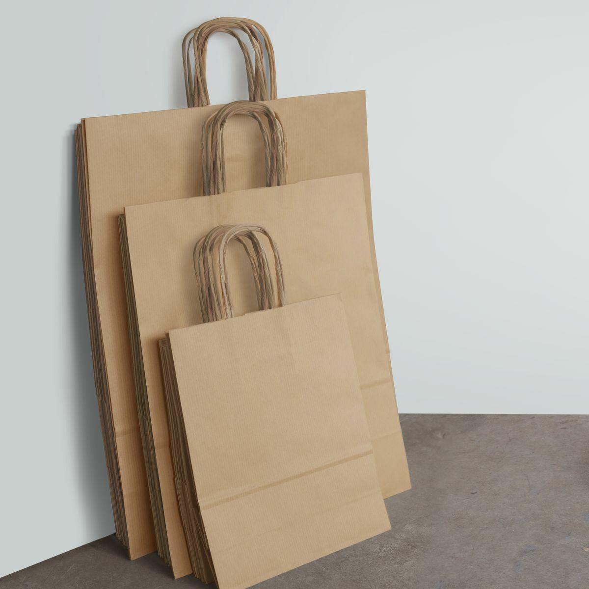 Ribbed kraft paper bag with twist handles.
