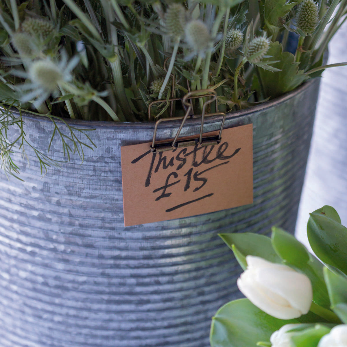 Kraft card signage tags with a clean surface for visible retail messaging.