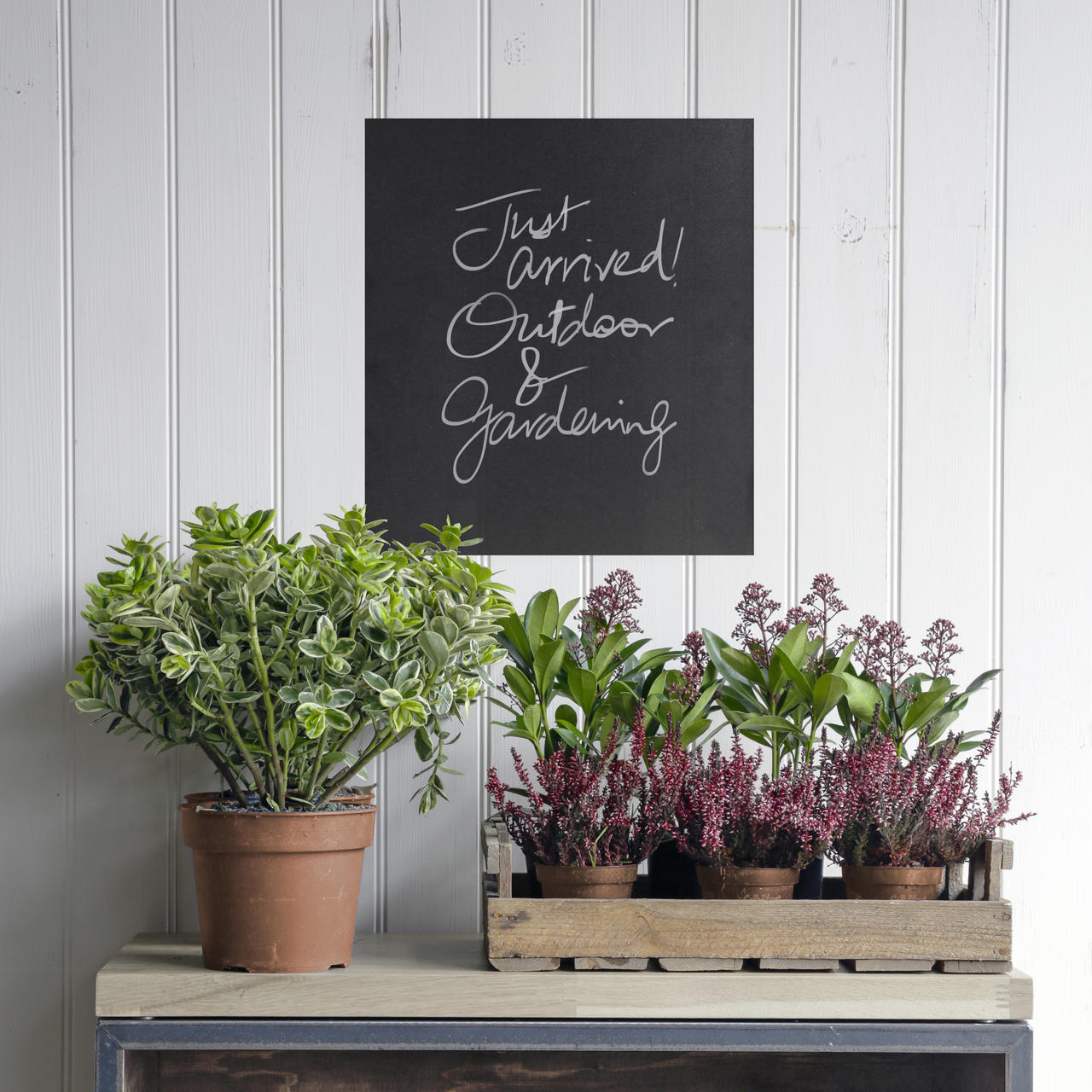 Self-adhesive chalkboard roll with a clean surface for visible retail messaging.