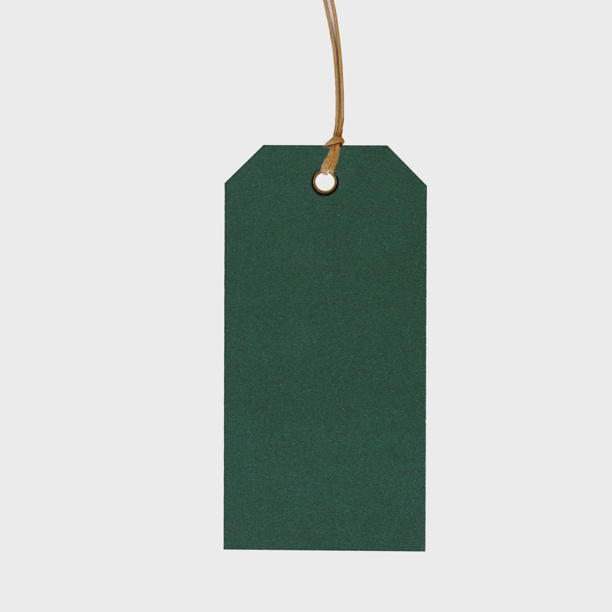 Card gift tag with paper string.