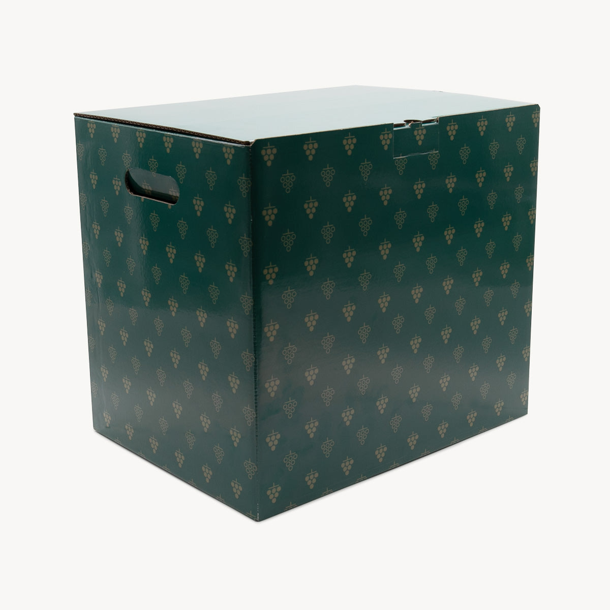12 bottle grapes print gift box