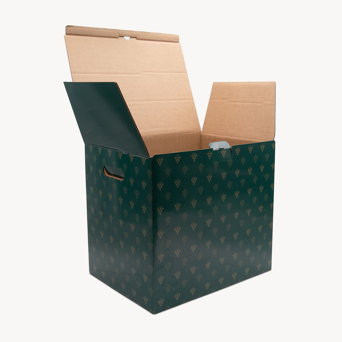 12 bottle grapes print gift box