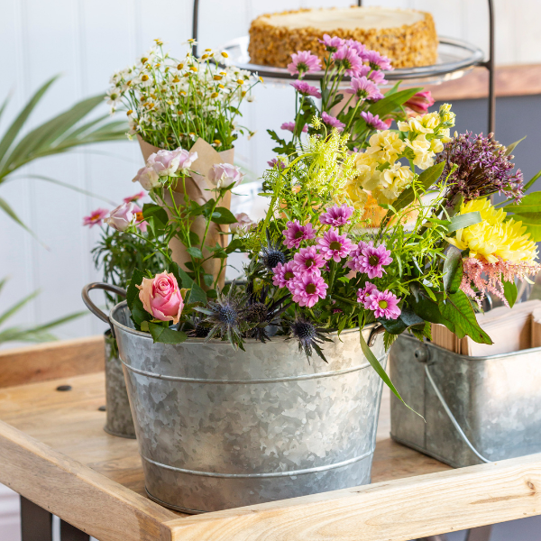 Ice buckets and countertop display accessories