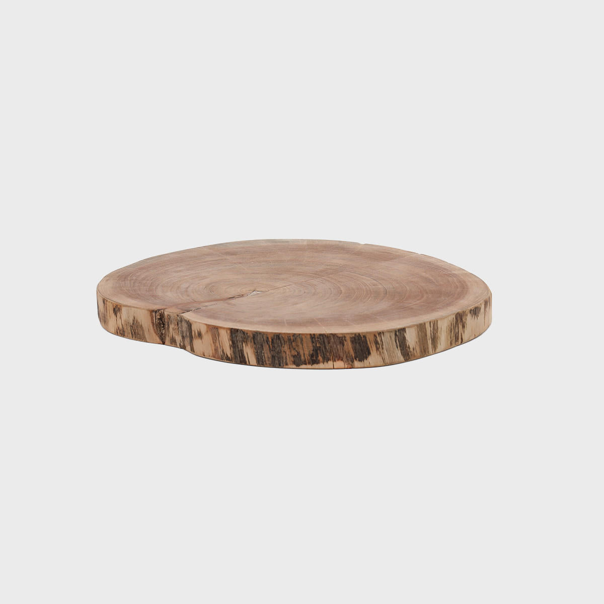Acacia tree ring display board.