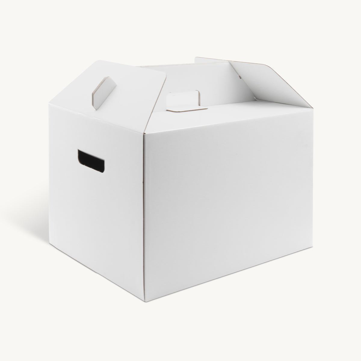 Large Turkey Box 20kg 410mm.