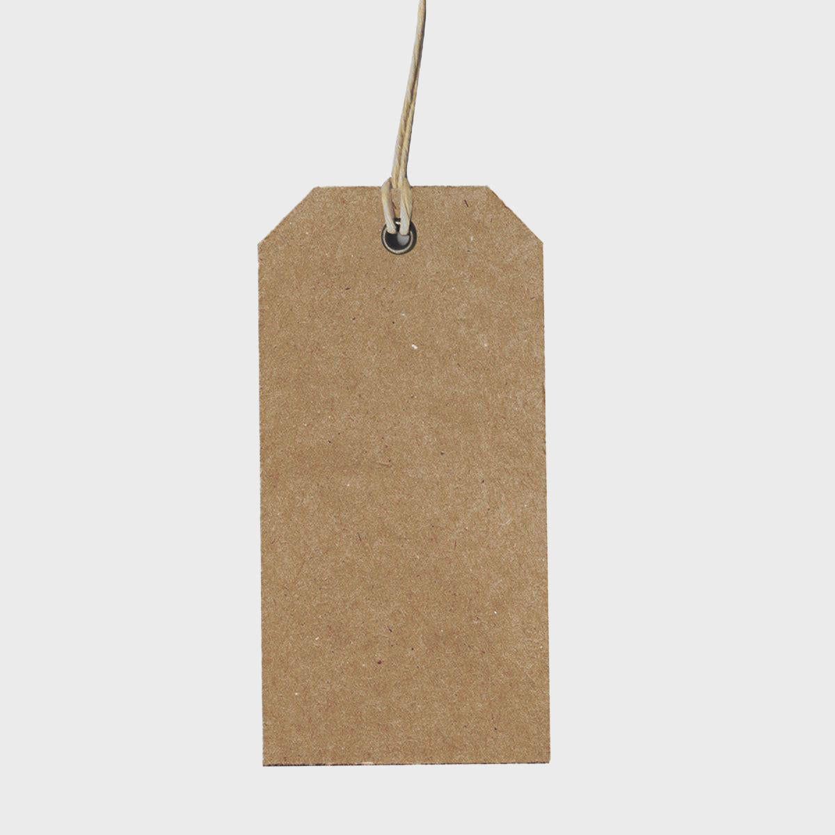 Card gift tag with paper string.