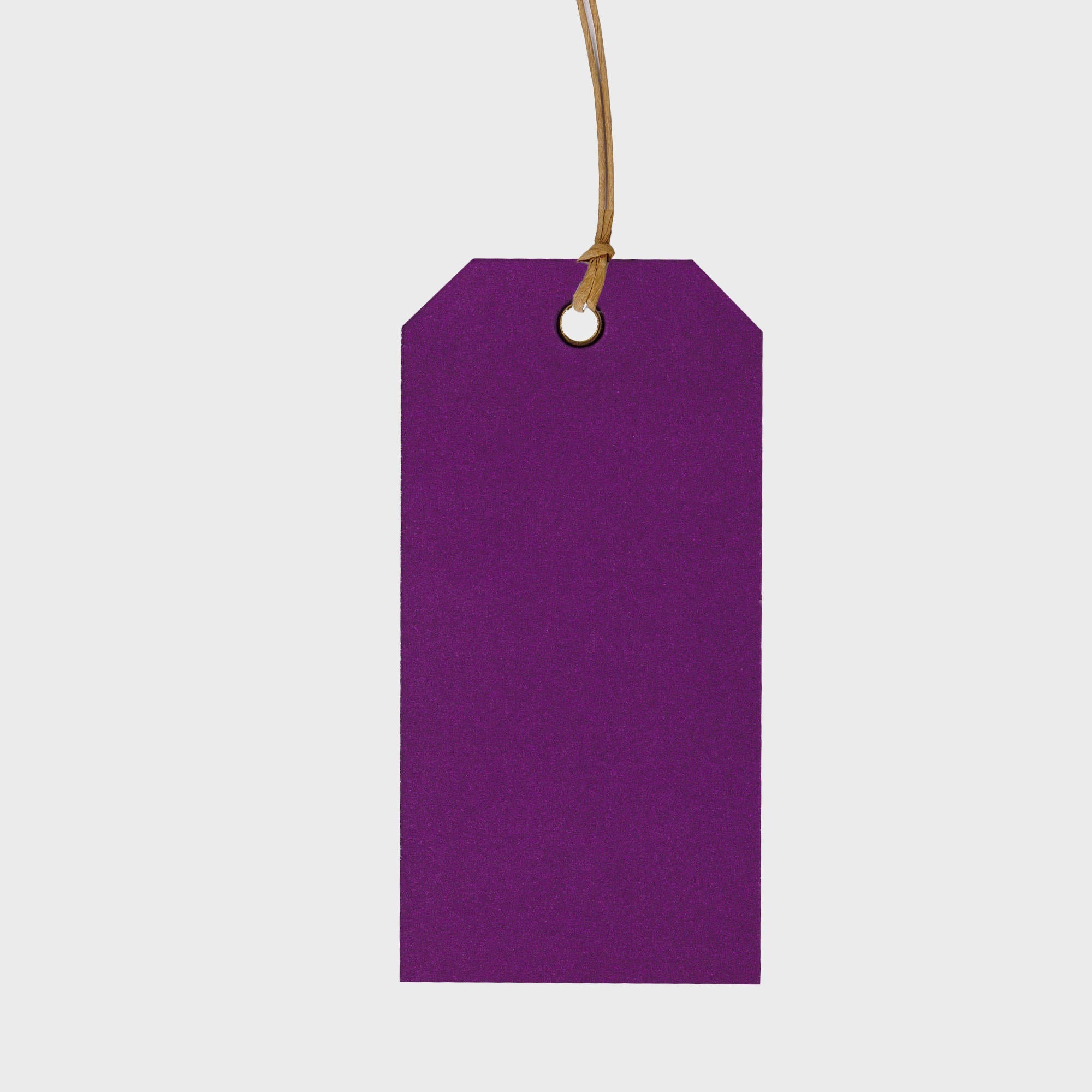Card gift tag with paper string.
