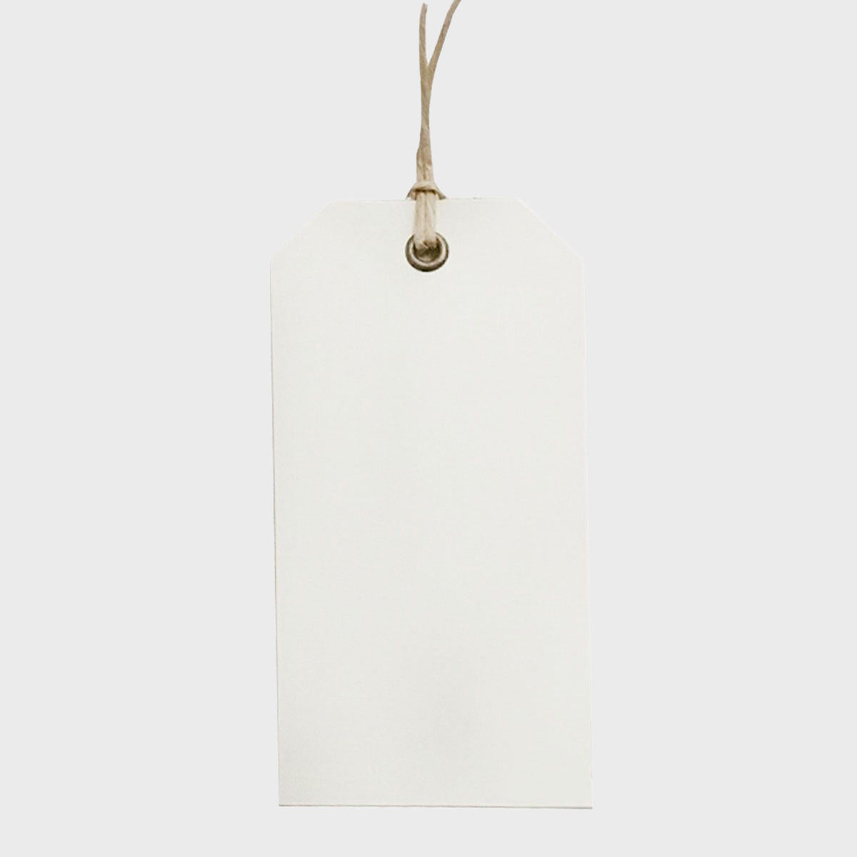 Card gift tag with paper string.