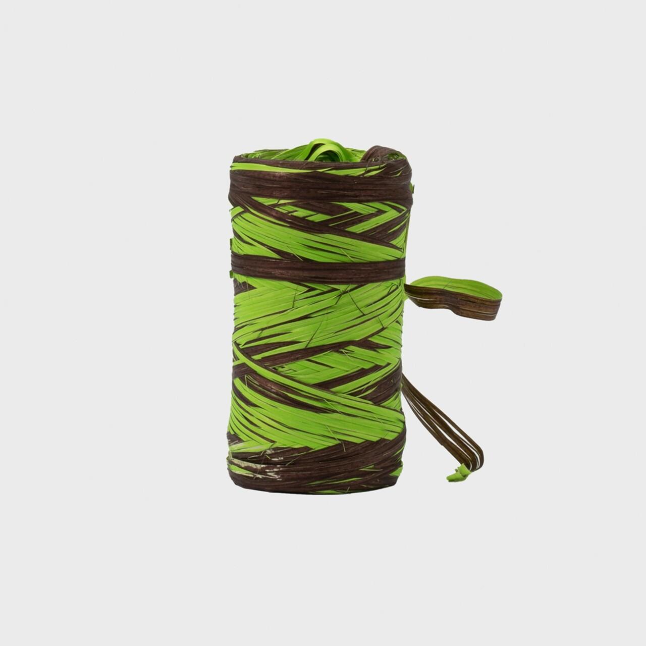 2 Tone Raffia Ribbon - Lime and Chocolate pk 1 TTRAF/LC